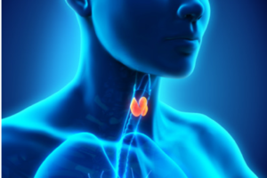 Why having your Thyroid checked can completely change your life!